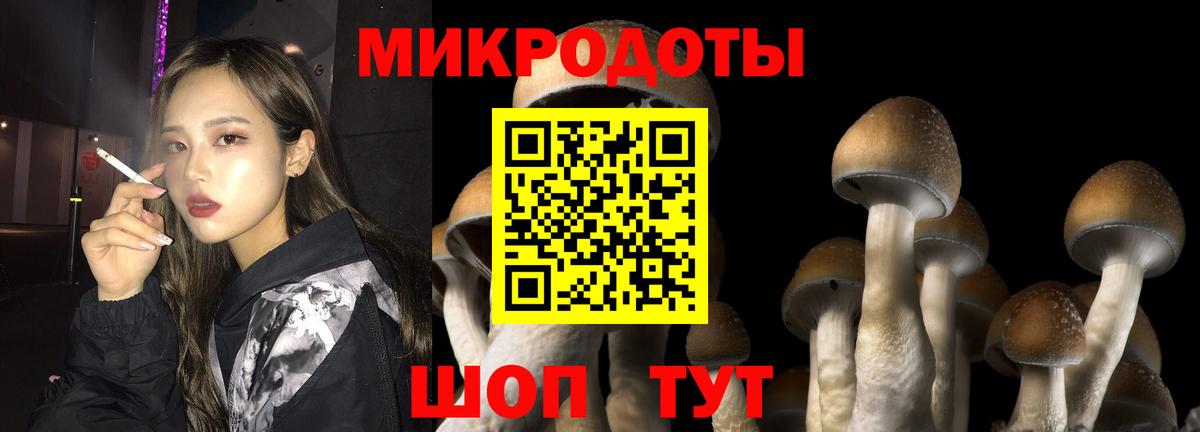 Галлюциногенные грибы ЛСД Звенигород
