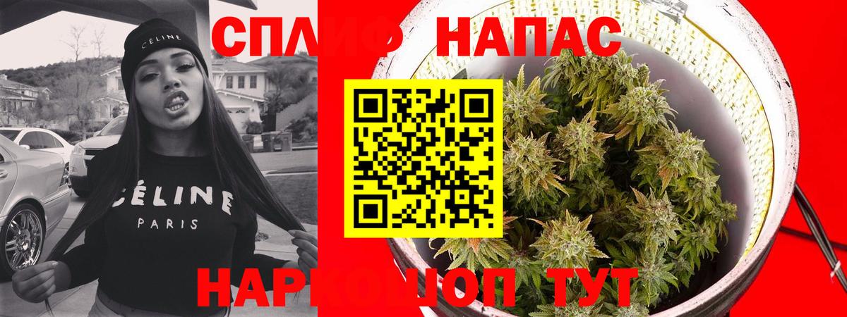 Канабис White Widow Звенигород